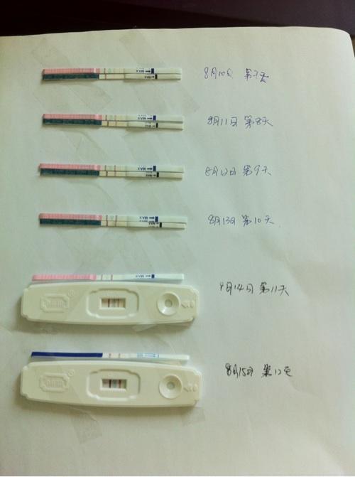 果芬钠打多久取卵,已经连续打了4天剂量为225的果纳芬